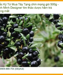 Hắc Kỷ Tử Tây Tạng chín mọng gói 500g - Đơn vị cung cấp có sẵn tại Sài Gòn