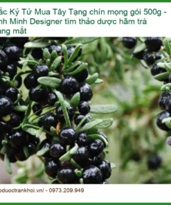 Hắc Kỷ Tử Tây Tạng chín mọng gói 500g - Địa chỉ bán giao nhanh TPHCM