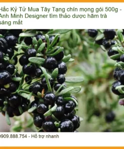 Hắc Kỷ Tử Tây Tạng chín mọng 500g - Đơn vị cung cấp sỉ lẻ giao nhanh TPHCM