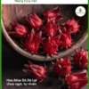 Mua Hoa Atiso Đỏ giảm cân giữ dáng ở Quận 8 - Đơn vị cung cấp giao nhanh