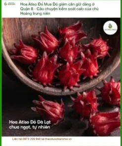 Mua Hoa Atiso Đỏ giảm cân giữ dáng ở Quận 8 - Đơn vị cung cấp giao nhanh