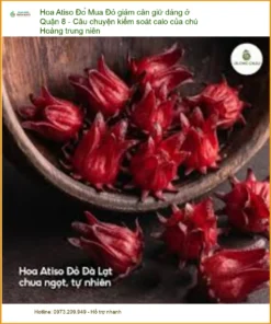 Mua Hoa Atiso Đỏ giảm cân giữ dáng ở Quận 8 - Địa chỉ Bán Giao nhanh