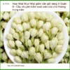 Mua Hoa Nhài giảm cân giữ dáng ở Quận 8 - Địa chỉ Bán Giao nhanh