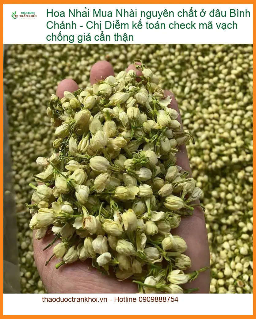 Mua Hoa Nhài nguyên chất ở đâu Bình Chánh - Đơn vị Cung cấp Giao nhanh