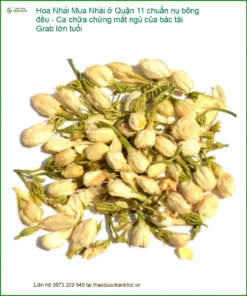 Mua Hoa Nhài ở Quận 11 chuẩn nụ bông đều - Ca chữa chứng mất ngủ - Giao nhanh