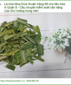 Lá Dứa nhuận tràng tiêu hóa & kiểm soát cân nặng Quận 8 - Giao nhanh TPHCM