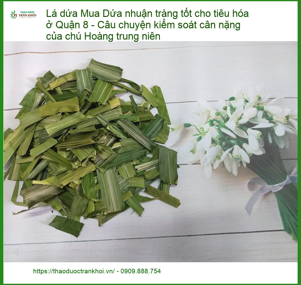 Lá Dứa nhuận tràng tiêu hóa & kiểm soát cân nặng Quận 8 - Giao nhanh TPHCM