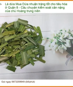 Lá Dứa Nhuận Tràng Tốt Tiêu Hóa - Địa chỉ Bán Giao nhanh tại TPHCM