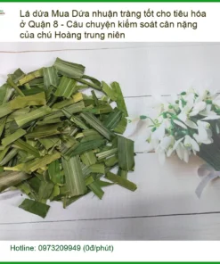 Mua Lá Dứa nhuận tràng tốt tiêu hóa ở Quận 8 - Địa chỉ Bán Giao nhanh