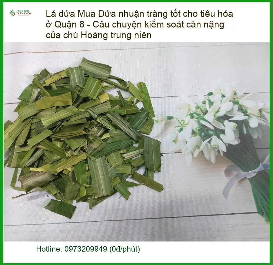 Mua Lá Dứa nhuận tràng tốt tiêu hóa ở Quận 8 - Địa chỉ Bán Giao nhanh