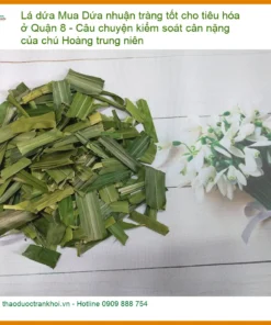 Lá Dứa nhuận tràng tốt cho tiêu hóa ở Quận 8 - Đơn vị Cung cấp Có sẵn