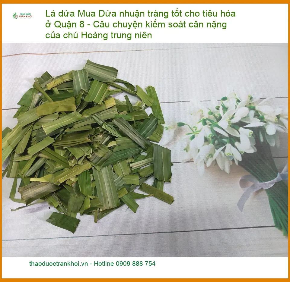 Lá Dứa nhuận tràng tốt cho tiêu hóa ở Quận 8 - Đơn vị Cung cấp Có sẵn