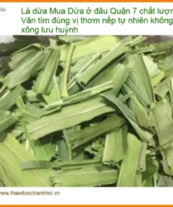 Lá Dứa Tươi Thơm Nếp Tự Nhiên Quận 7 - Địa chỉ Bán Sỉ lẻ Giao nhanh