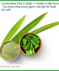 Mua Lá Dứa Quận 11 chuẩn vị nếp thơm - Đơn vị cung cấp sỉ lẻ TPHCM