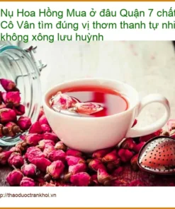 Nụ Hoa Hồng Cô Vân Quận 7 chất lượng, thơm tự nhiên - Địa chỉ Bán Giao nhanh