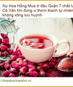 Nụ Hoa Hồng ở đâu Quận 7 chất lượng Cô Vân - Đơn vị Cung cấp Có sẵn