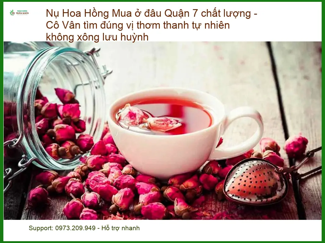 Nụ Hoa Hồng Quận 7 chất lượng - Cô Vân - Địa chỉ Bán Sỉ lẻ Giao nhanh
