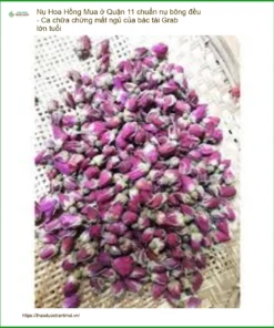Mua Nụ Hoa Hồng ở Quận 11 chuẩn nụ bông đều - Ca chữa chứng mất ngủ của bác tài Grab lớn tuổi - Địa chỉ Bán Giao nhanh TPHCM