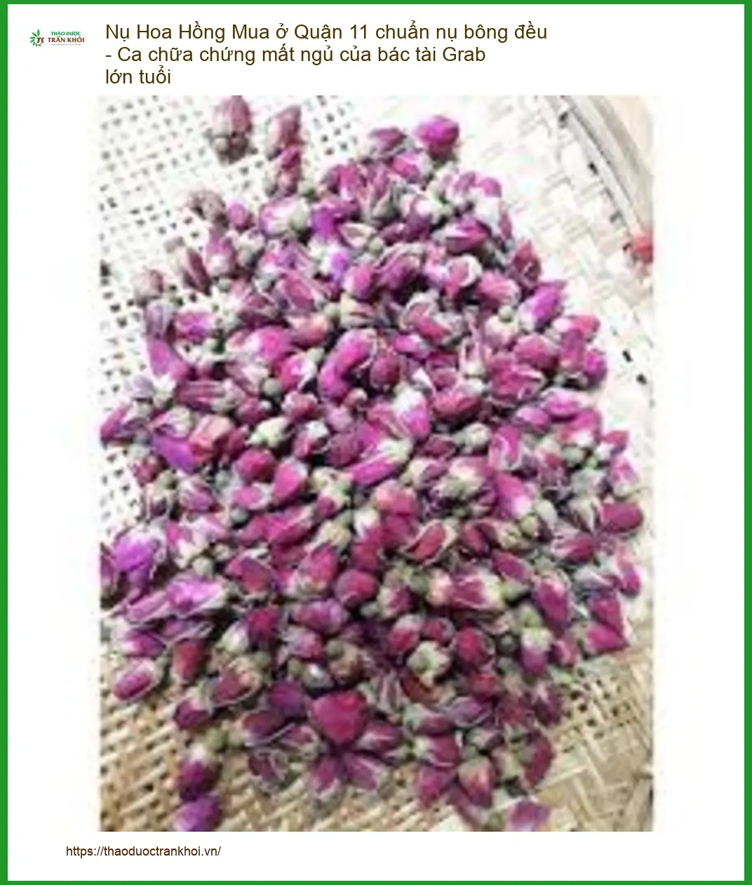 Mua Nụ Hoa Hồng ở Quận 11 chuẩn nụ bông đều - Ca chữa chứng mất ngủ của bác tài Grab lớn tuổi - Địa chỉ Bán Giao nhanh TPHCM