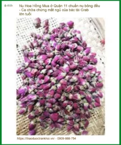 Nụ Hoa Hồng Quận 11 chuẩn nụ bông đều - Đơn vị cung cấp có sẵn giao nhanh