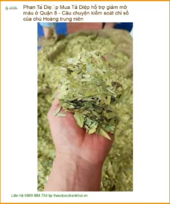 Phan Tả Diệp hỗ trợ giảm mỡ máu ở Quận 8 - Đơn vị Cung cấp Có sẵn tại TPHCM