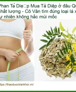Mua Phan Tả Diệp ở đâu Quận 7 chất lượng - Đơn vị Cung cấp Giao nhanh