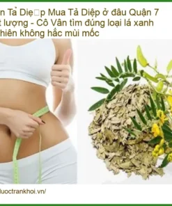 Phan Tả Diệp Quận 7 Chất Lượng Tự Nhiên - Địa chỉ bán sỉ lẻ giao nhanh