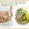 Mua Phan Tả Diệp ở đâu Quận 7 chất lượng - Đơn vị cung cấp giao nhanh