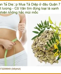 Mua Phan Tả Diệp ở đâu Quận 7 chất lượng - Đơn vị cung cấp giao nhanh