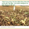 Trà Sơn Mật Hồng Sâm 500g chính gốc Tây Bắc - Địa chỉ Bán Giao nhanh TPHCM