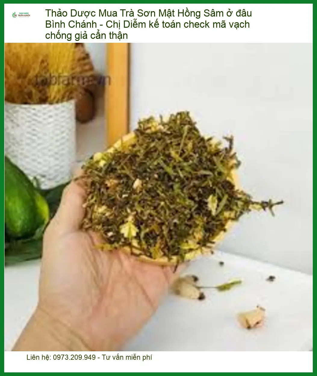 Trà Sơn Mật Hồng Sâm Bình Chánh chính hãng - Địa chỉ Bán Sỉ lẻ Giao nhanh