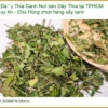 Nơi bán Dây Thìa Canh tại TPHCM uy tín - Chú Hùng chọn hàng sấy lạnh