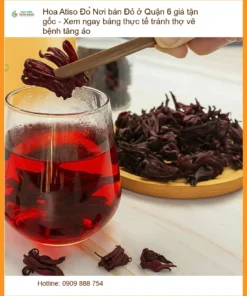 Hoa Atiso Đỏ ở Quận 6 - Địa chỉ Bán Giao nhanh, giá tận gốc TPHCM