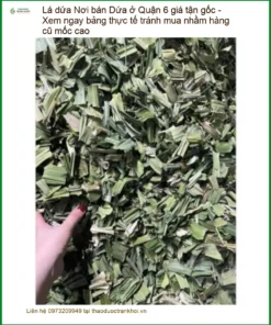 Nơi bán Lá Dứa ở Quận 6 giá tận gốc - Đơn vị Cung cấp Có sẵn TPHCM