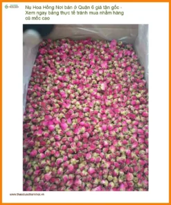 Nơi bán Nụ Hoa Hồng ở Quận 6 giá tận gốc - Đơn vị Cung cấp Giao nhanh