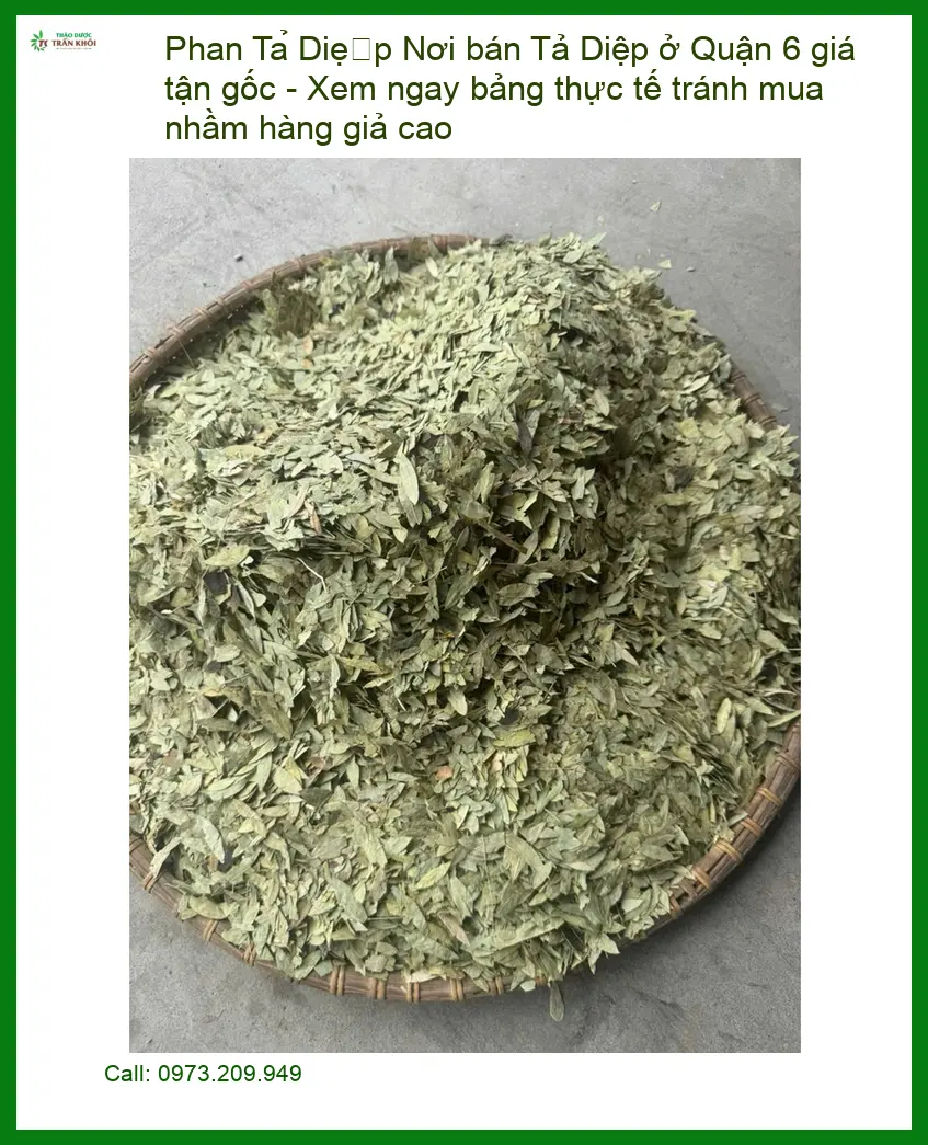 Nơi bán Phan Tả Diệp ở Quận 6 giá tận gốc - Địa chỉ Bán Giao nhanh TPHCM