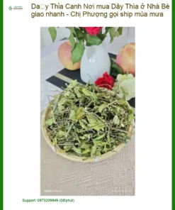 Nơi mua Dây Thìa Canh ở Nhà Bè giao nhanh - Chị Phượng gọi ship mùa mưa | Bán sỉ