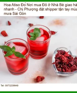 Đơn vị Cung cấp Hoa Atiso Đỏ tại Nhà Bè - Giao nhanh tận tay Sài Gòn