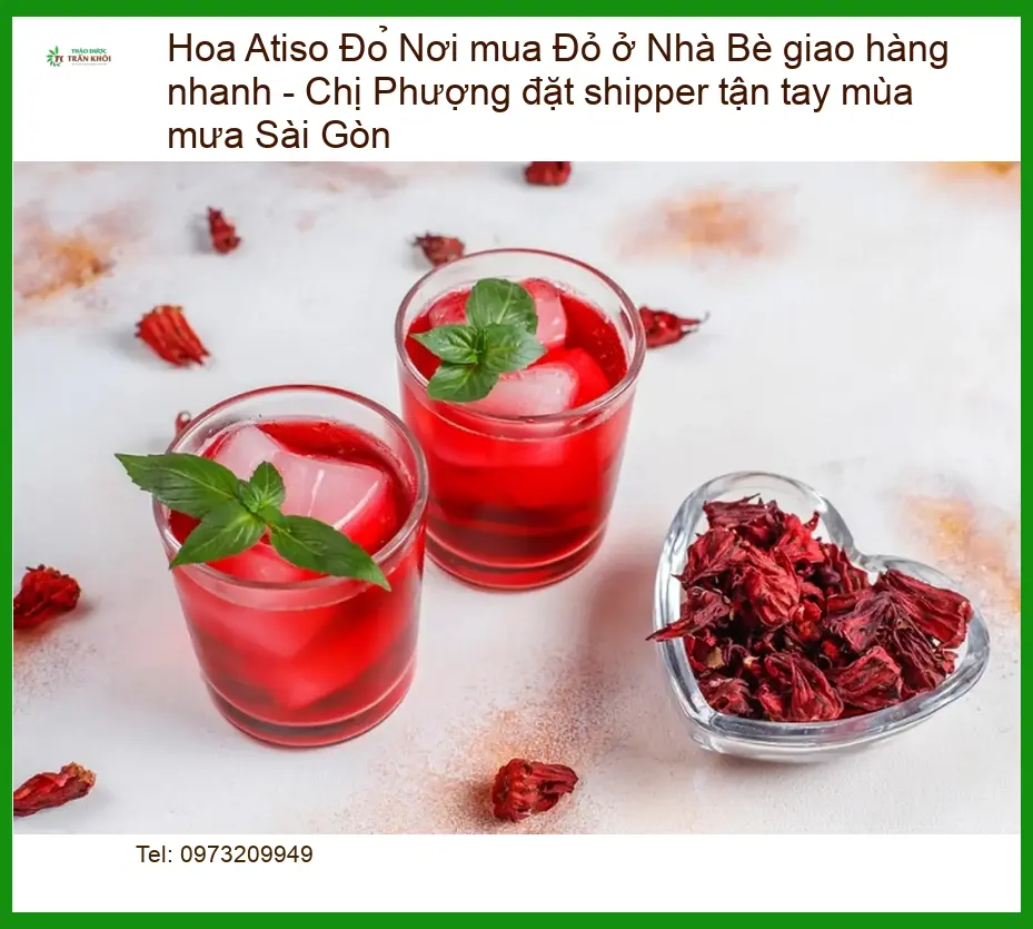 Đơn vị Cung cấp Hoa Atiso Đỏ tại Nhà Bè - Giao nhanh tận tay Sài Gòn