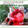 Hoa Atiso Đỏ sấy khô Quận 5 - Dược sĩ review - Địa chỉ Bán Giao nhanh