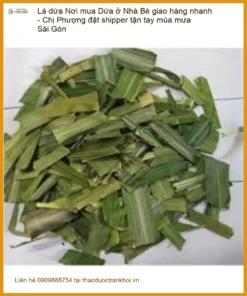 Nơi mua Lá Dứa ở Nhà Bè giao hàng nhanh - Đơn vị Bán sỉ lẻ Có sẵn TPHCM