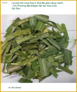 Nơi mua Lá Dứa ở Nhà Bè giao nhanh Sài Gòn - Địa chỉ Bán Giao nhanh