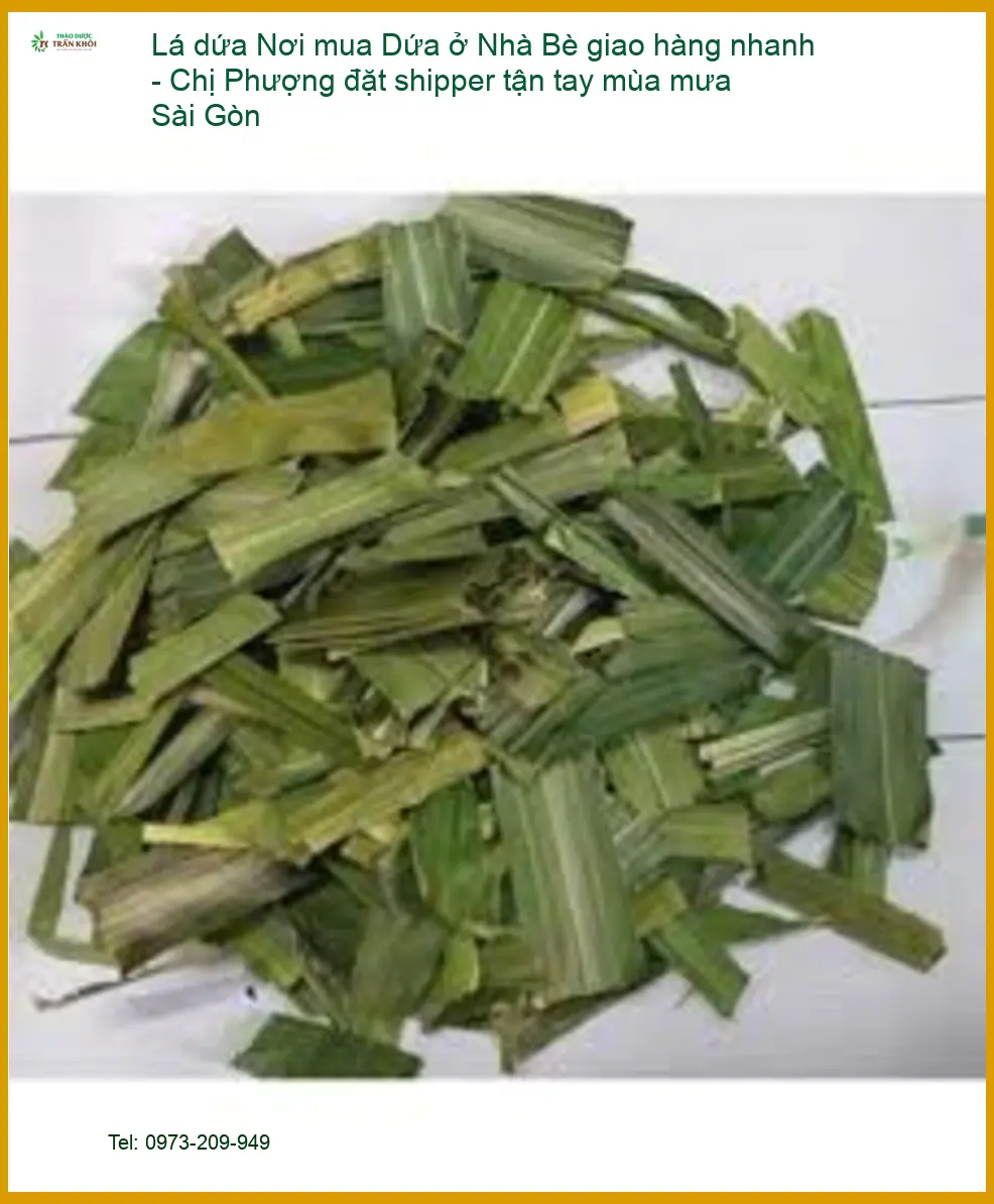 Nơi mua Lá Dứa ở Nhà Bè giao nhanh Sài Gòn - Địa chỉ Bán Giao nhanh