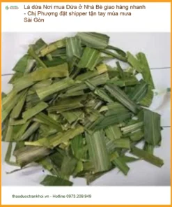 Nơi mua Lá Dứa ở Nhà Bè giao hàng nhanh - Địa chỉ Cung cấp Có sẵn TPHCM
