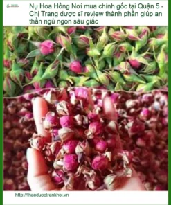 Nụ Hoa Hồng chính gốc tại Quận 5 - Địa chỉ bán sỉ lẻ giao nhanh TPHCM
