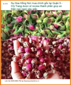 Nụ Hoa Hồng chính gốc tại Quận 5 - Đơn vị Cung cấp Sỉ lẻ Giao nhanh TPHCM