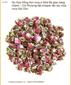 Nụ Hoa Hồng ở Nhà Bè giao hàng nhanh - Địa chỉ Bán Sỉ lẻ Có sẵn tại TPHCM
