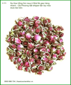 Nụ Hoa Hồng tại Nhà Bè - Địa chỉ Cung cấp Nụ Hoa Hồng Giao nhanh TPHCM
