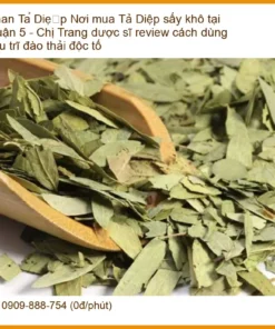 Phan Tả Diệp sấy khô tiêu trĩ đào thải độc tố - Địa chỉ Bán sỉ lẻ Giao nhanh