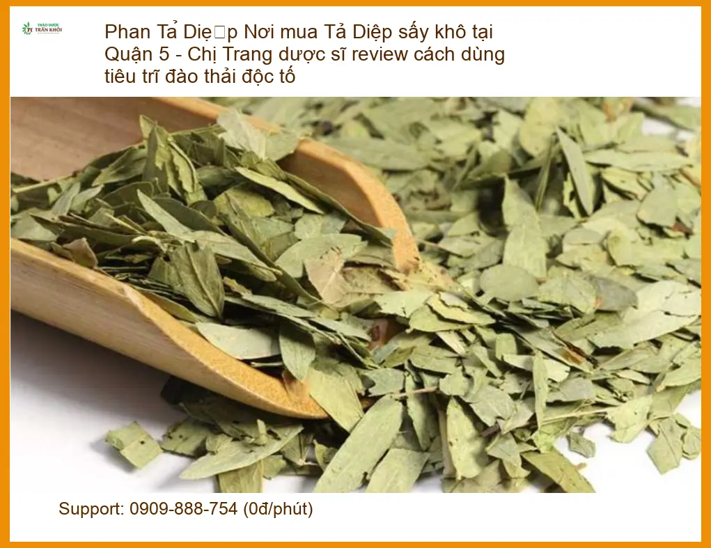 Phan Tả Diệp sấy khô tiêu trĩ đào thải độc tố - Địa chỉ Bán sỉ lẻ Giao nhanh